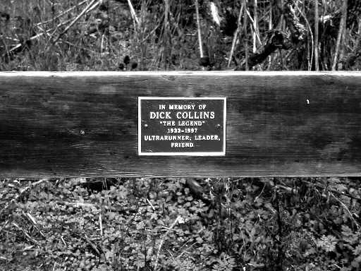 The Dick Collins Bench