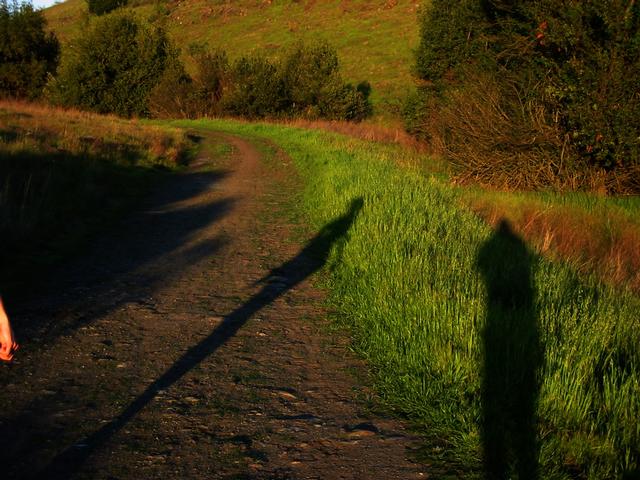 Late afternoon shadows