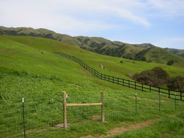 Marin County