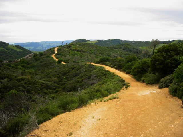 Ridgetop trail