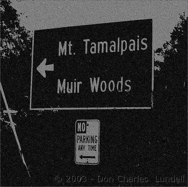 Muir Woods that way