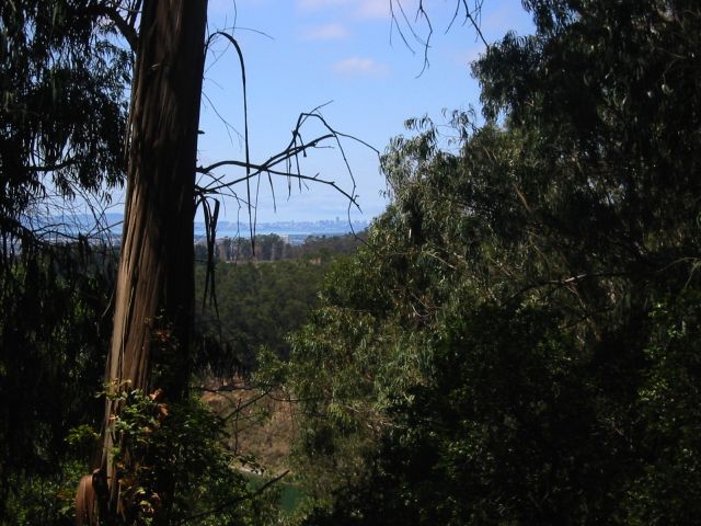 San Francisco in the distance