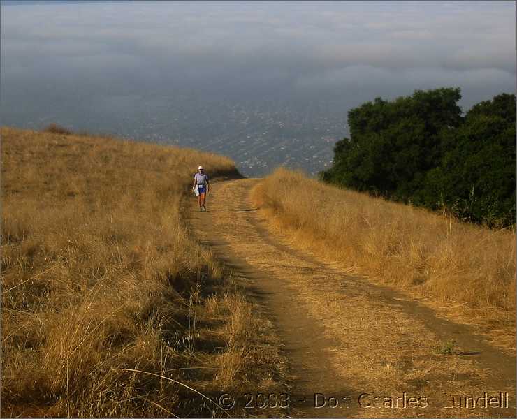 Boccardo Trail