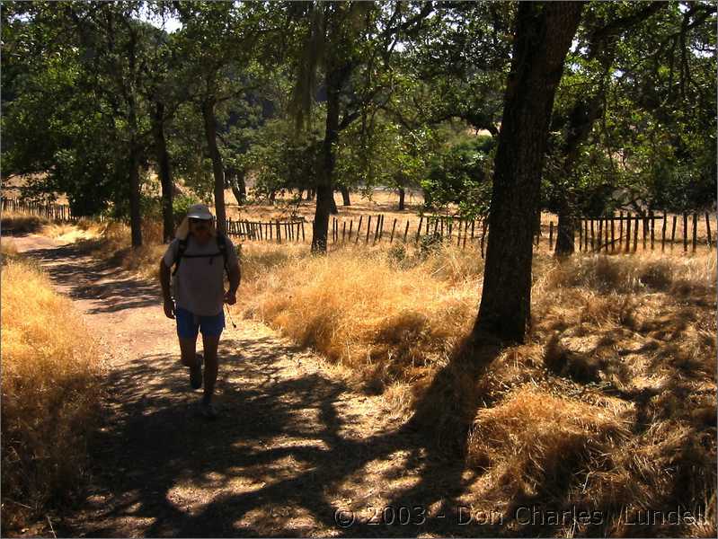 Cruising down the trail