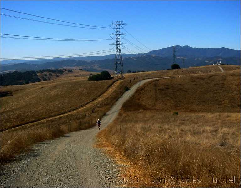 Coyote Peak Trail