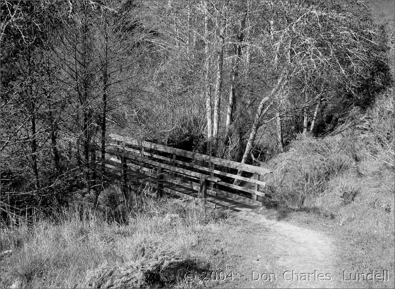 Stream crossing