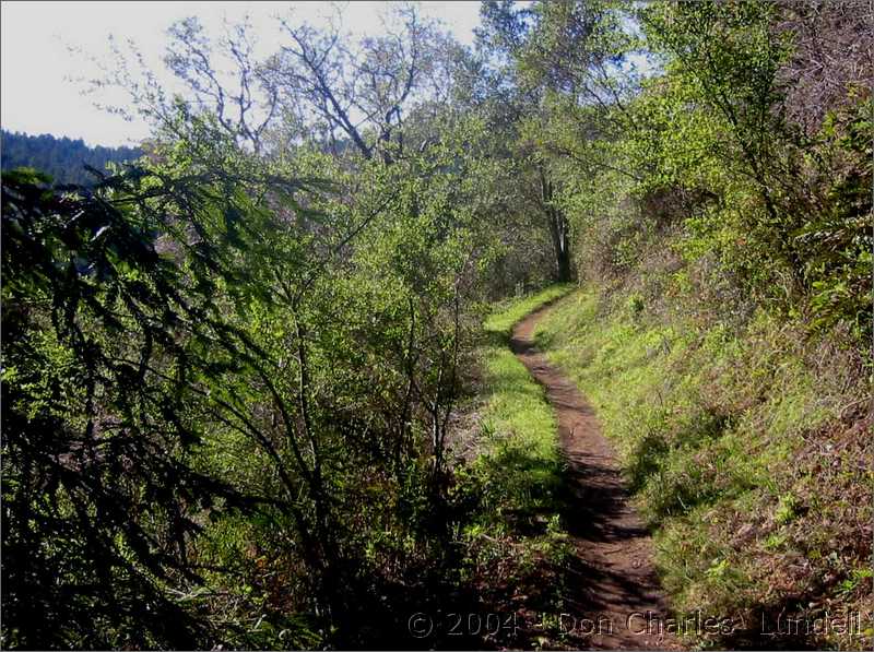 Purisima Trail