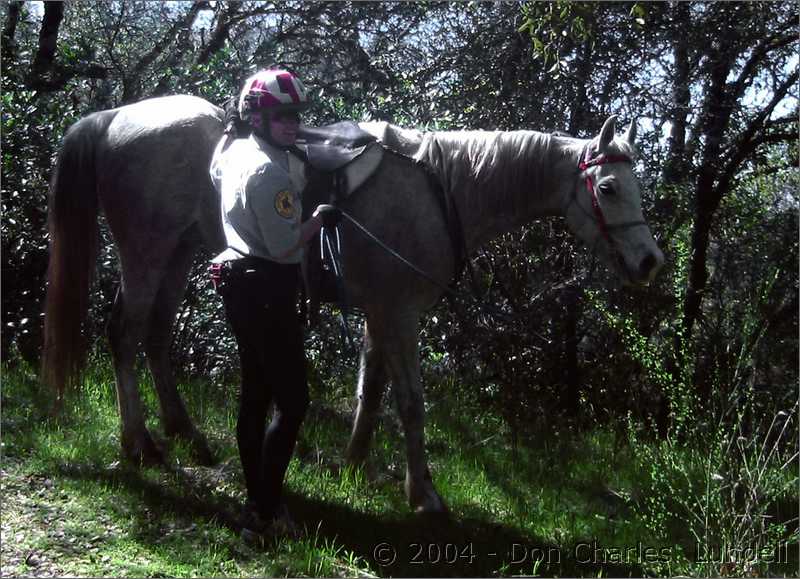 Ranger and her horse