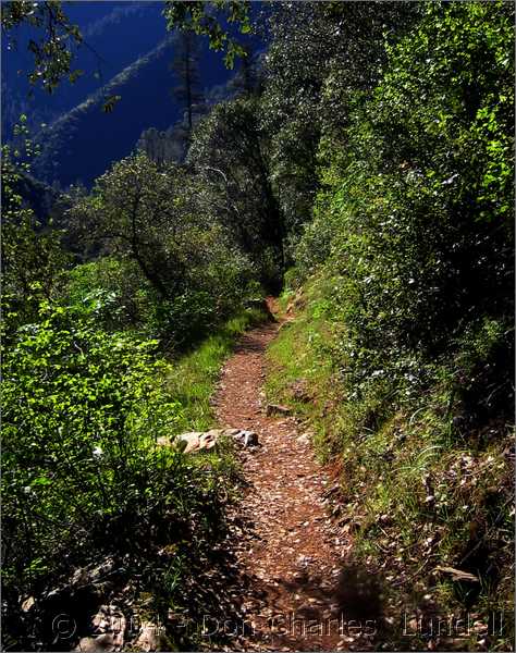 Beautiful trail