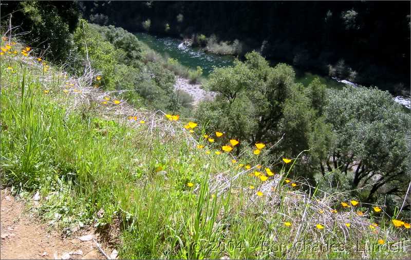 Above the river 