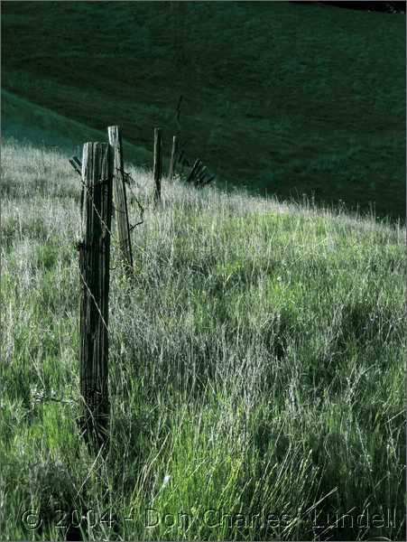 Fence line