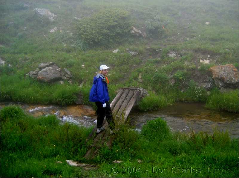 Another stream crossing