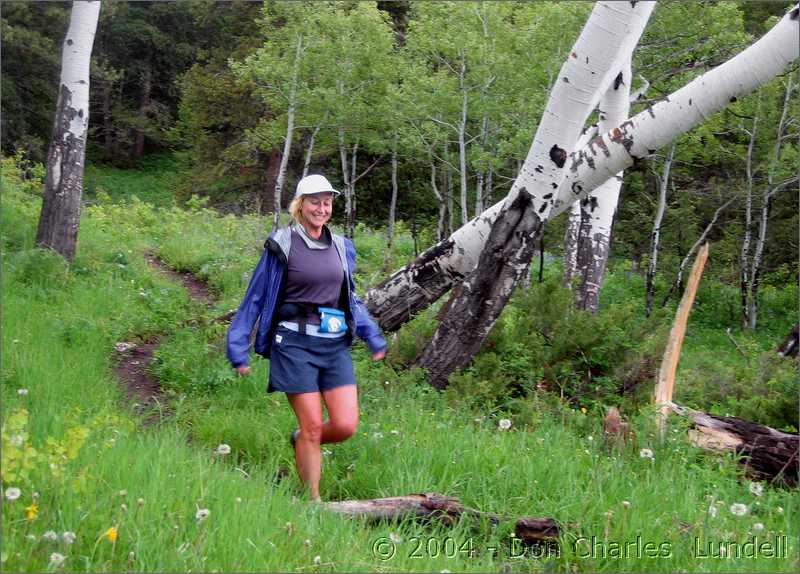 Round the aspens