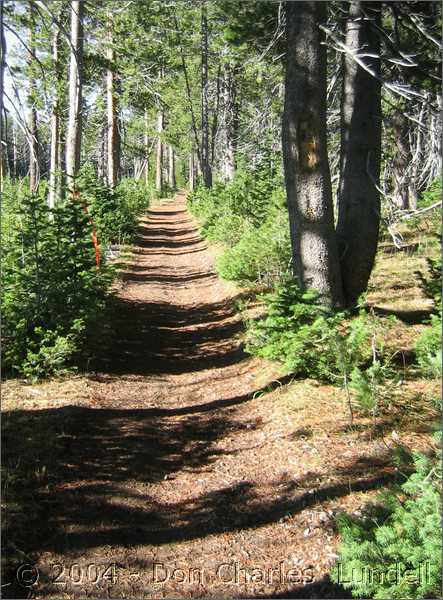 Trail thoroughfare