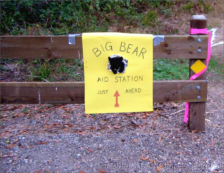 Big Bear aid station