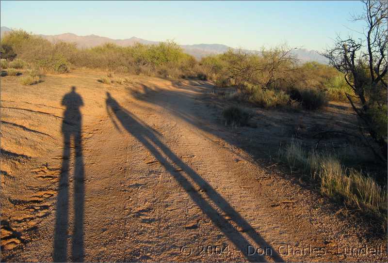 Runner shadows