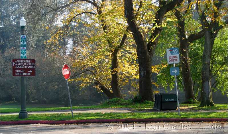 Golden Gate Park