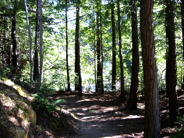 Whittemore Gulch Trail