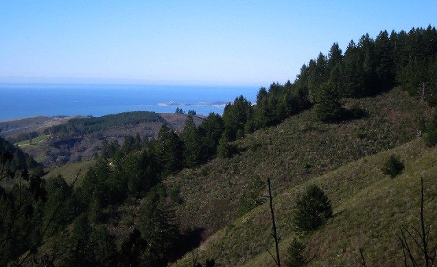 Looking toward Half Moon Bay