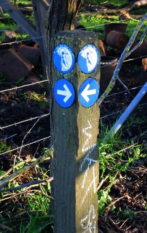 Bay Area Ridge Trail signpost