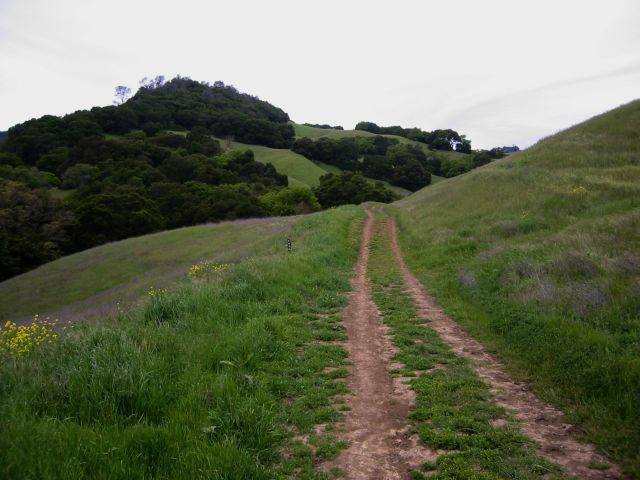 Two lane trail