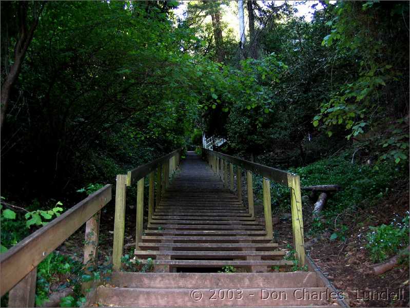 Taken by pacer Jeff Golds, on the last set of stairs