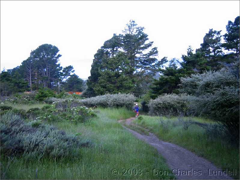 Gillian, going over Hogsback