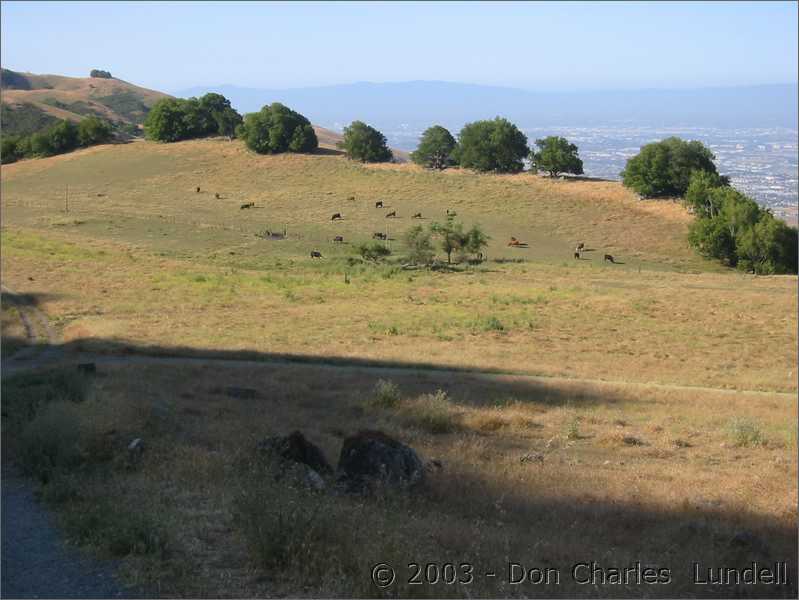 Another peaceful morning on Mission Peak