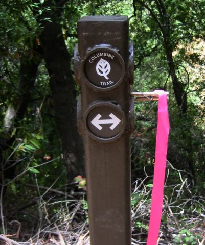 Columbine trail