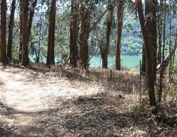 First glimpse of Lake Chabot