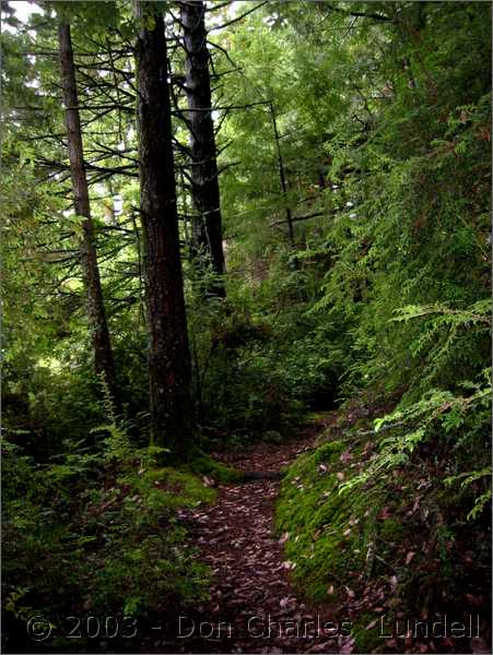 North end of the Coastal Trail