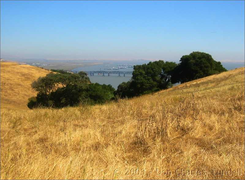 Carquinez Bridge