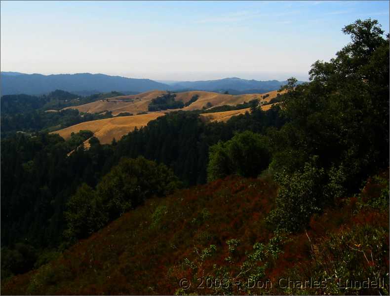 Russian Ridge Open Space