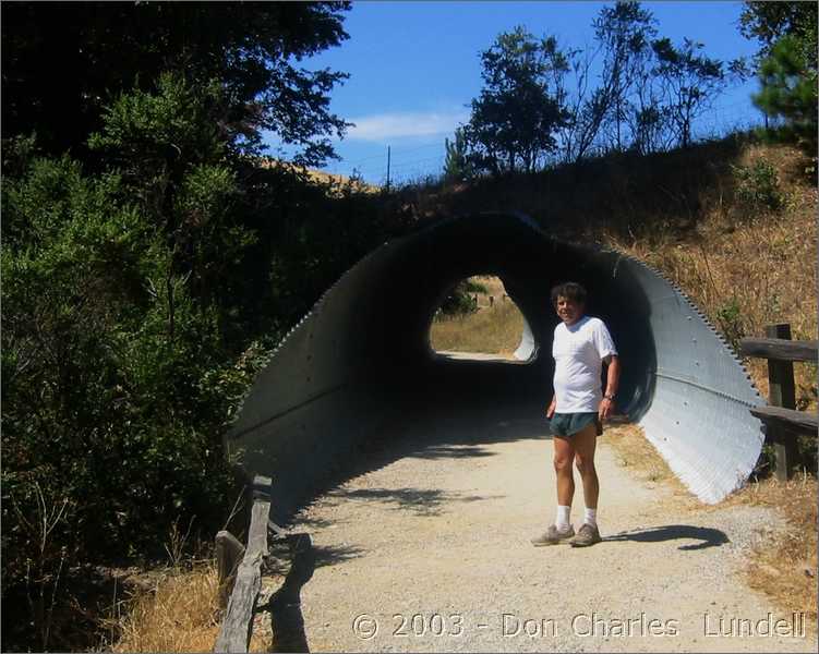 Crossing under Alpine Road