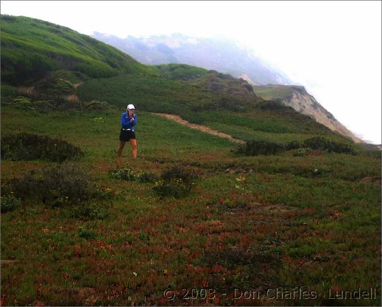 Running through the ice plant