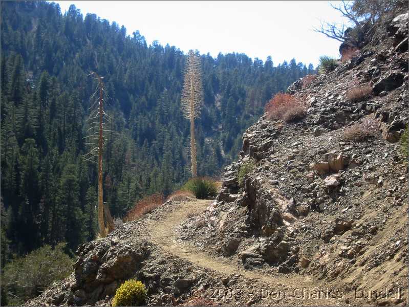 Rocky trails