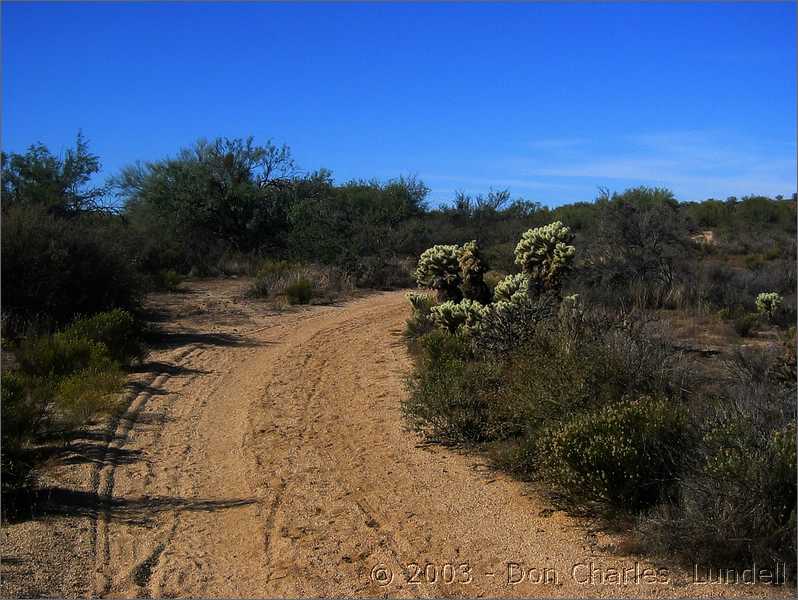 Sandy section