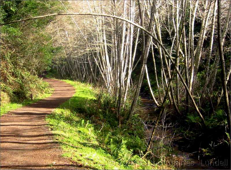 Bear Valley Trail