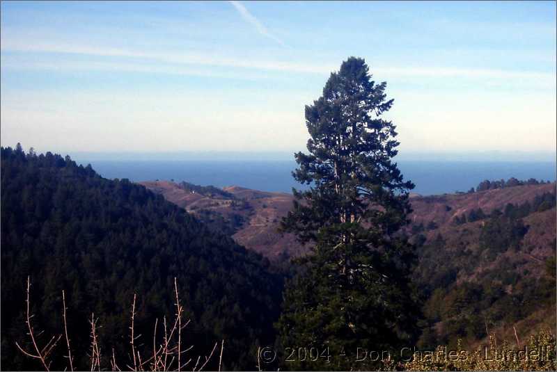 View from Soda Gulch Trail