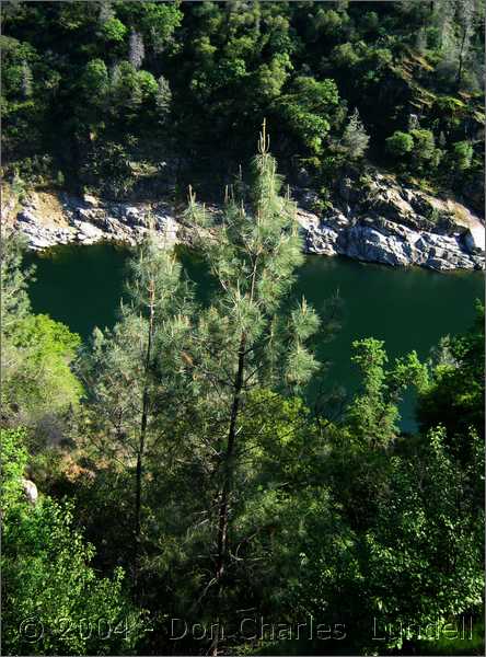 Looking down into the canyon