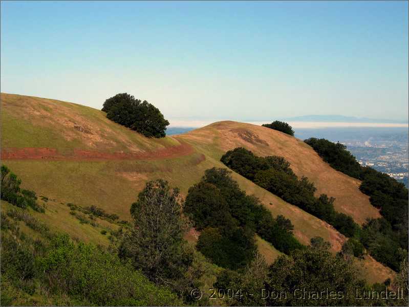 View from Deer Flat Road