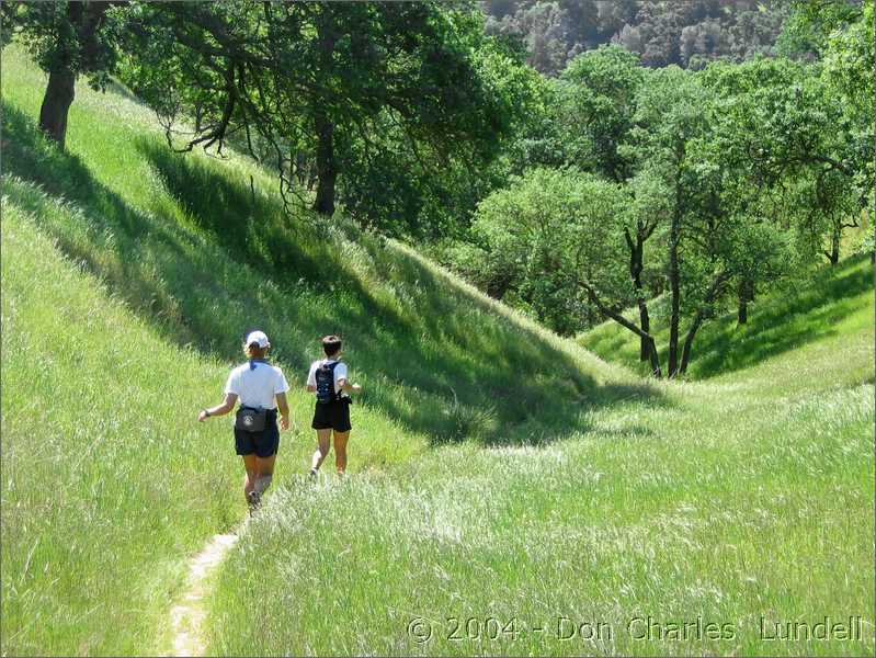 Winding through the valley