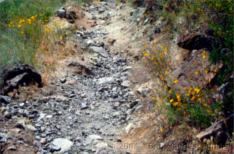 Rocky trail