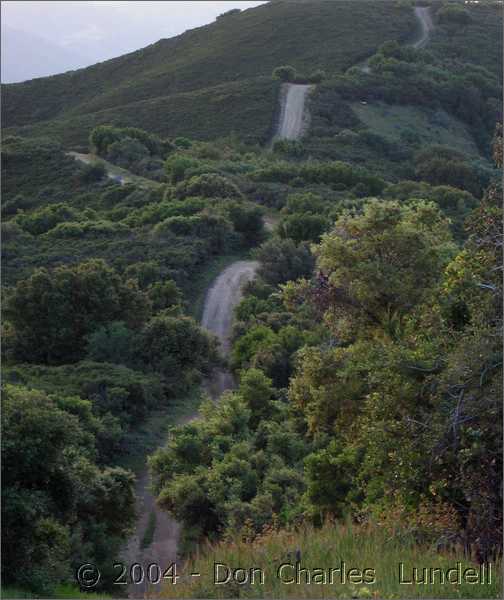 Roller coaster trail