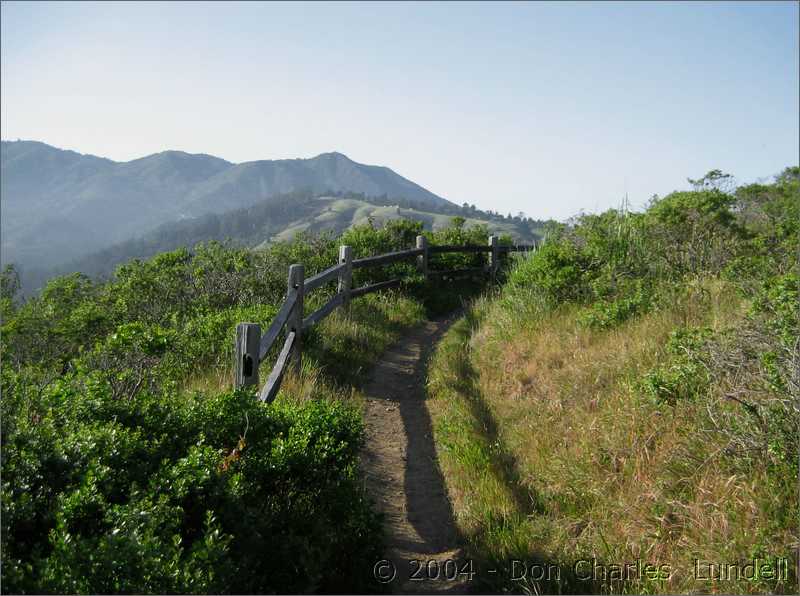 Bend in the trail