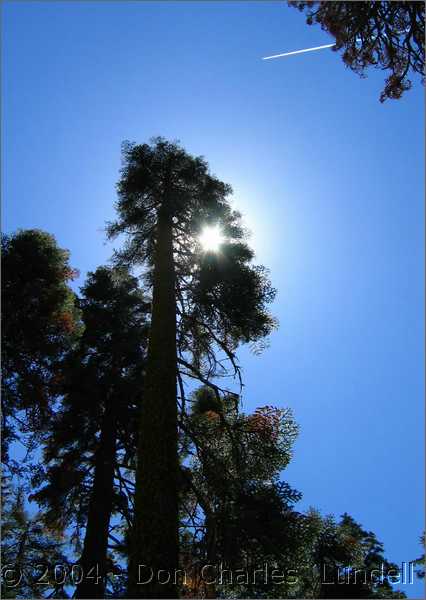 Flying over the Western States trail