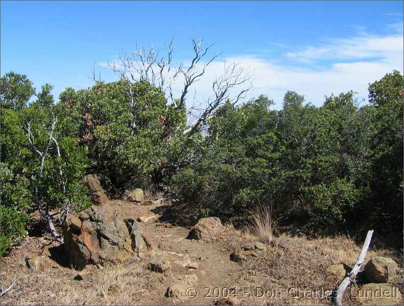 On the North Peak Trail