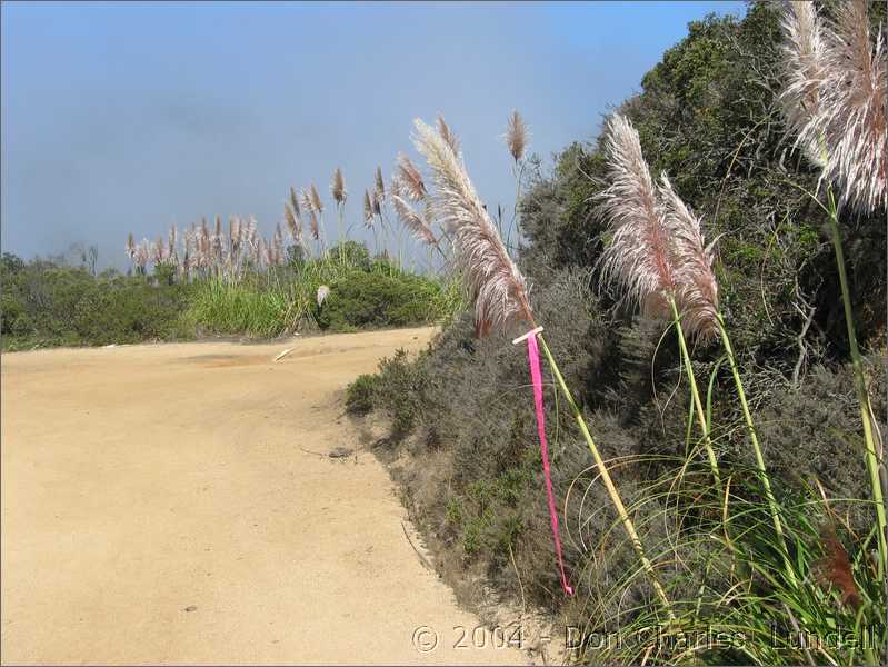 Coastal trail marker