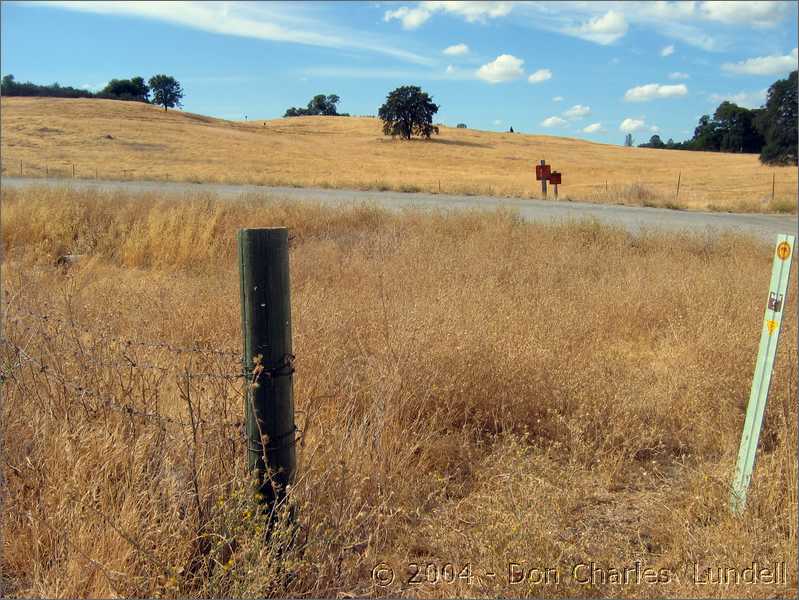 California afternoon