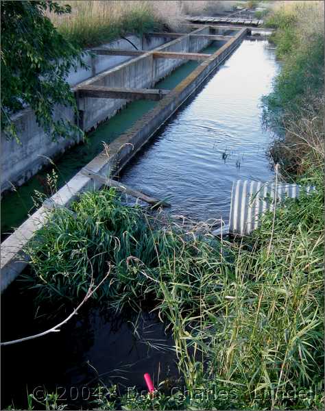 Leland's trout farm